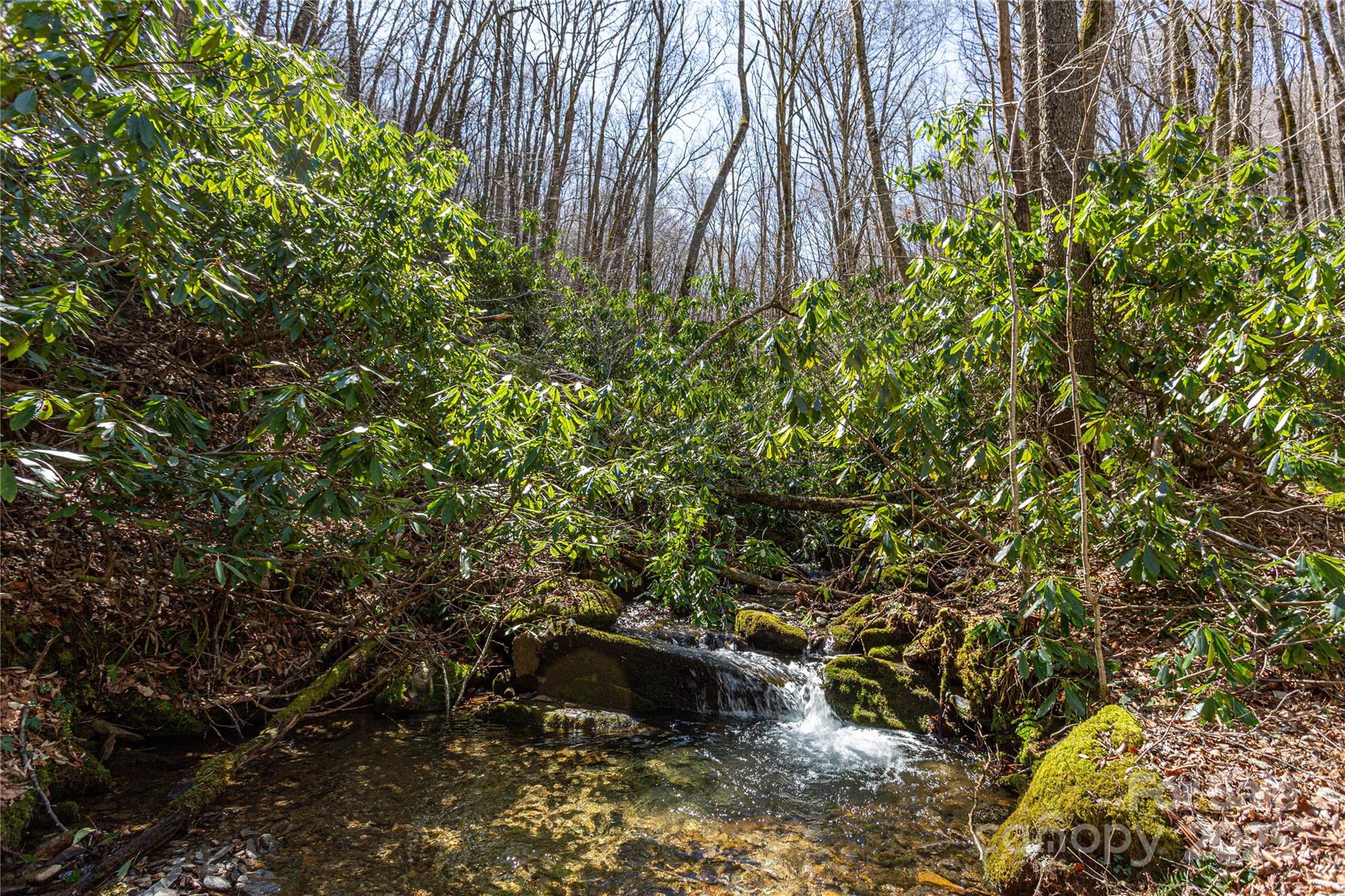 Black Rock Creek - Land