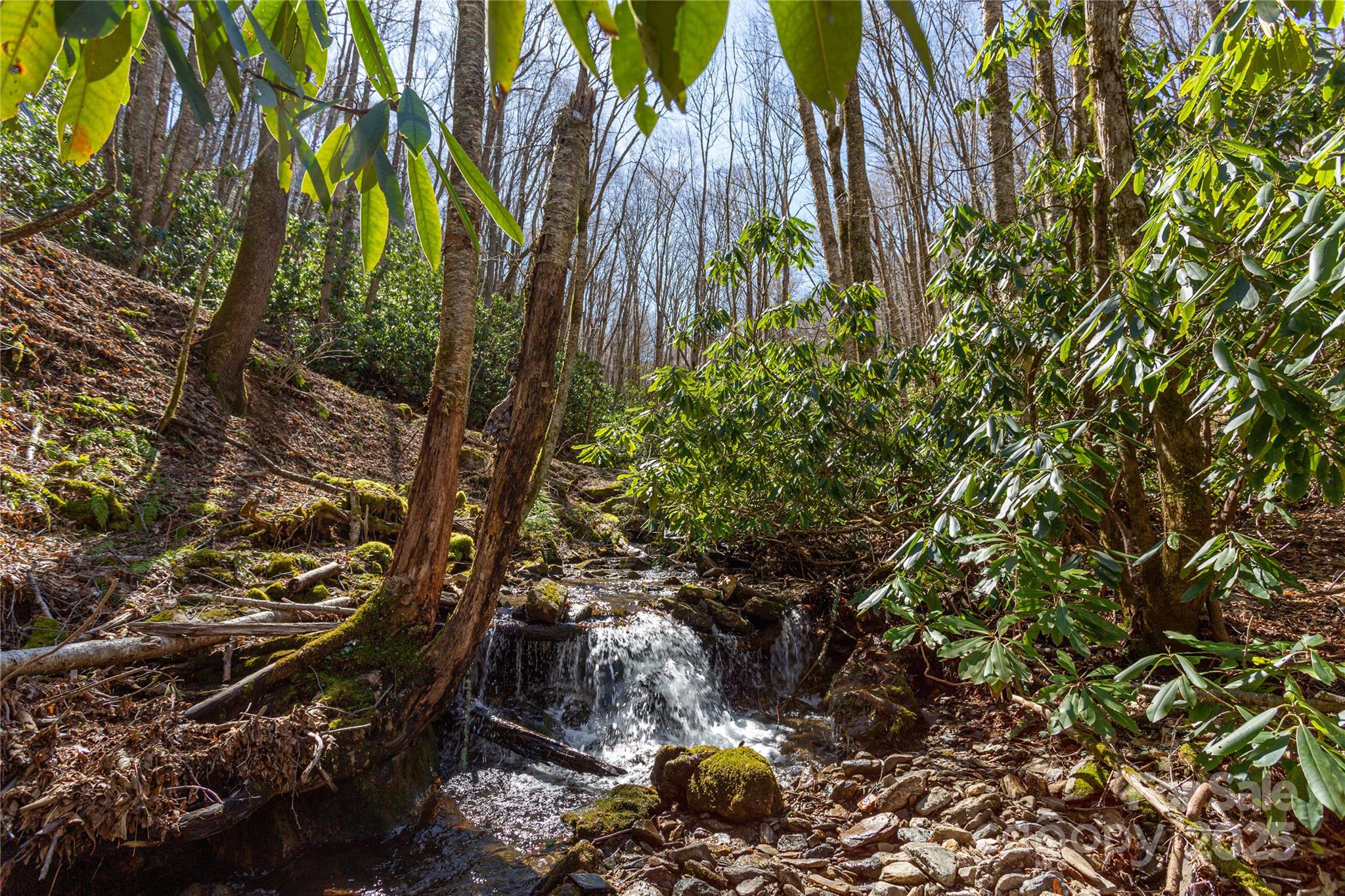 Black Rock Creek - Land