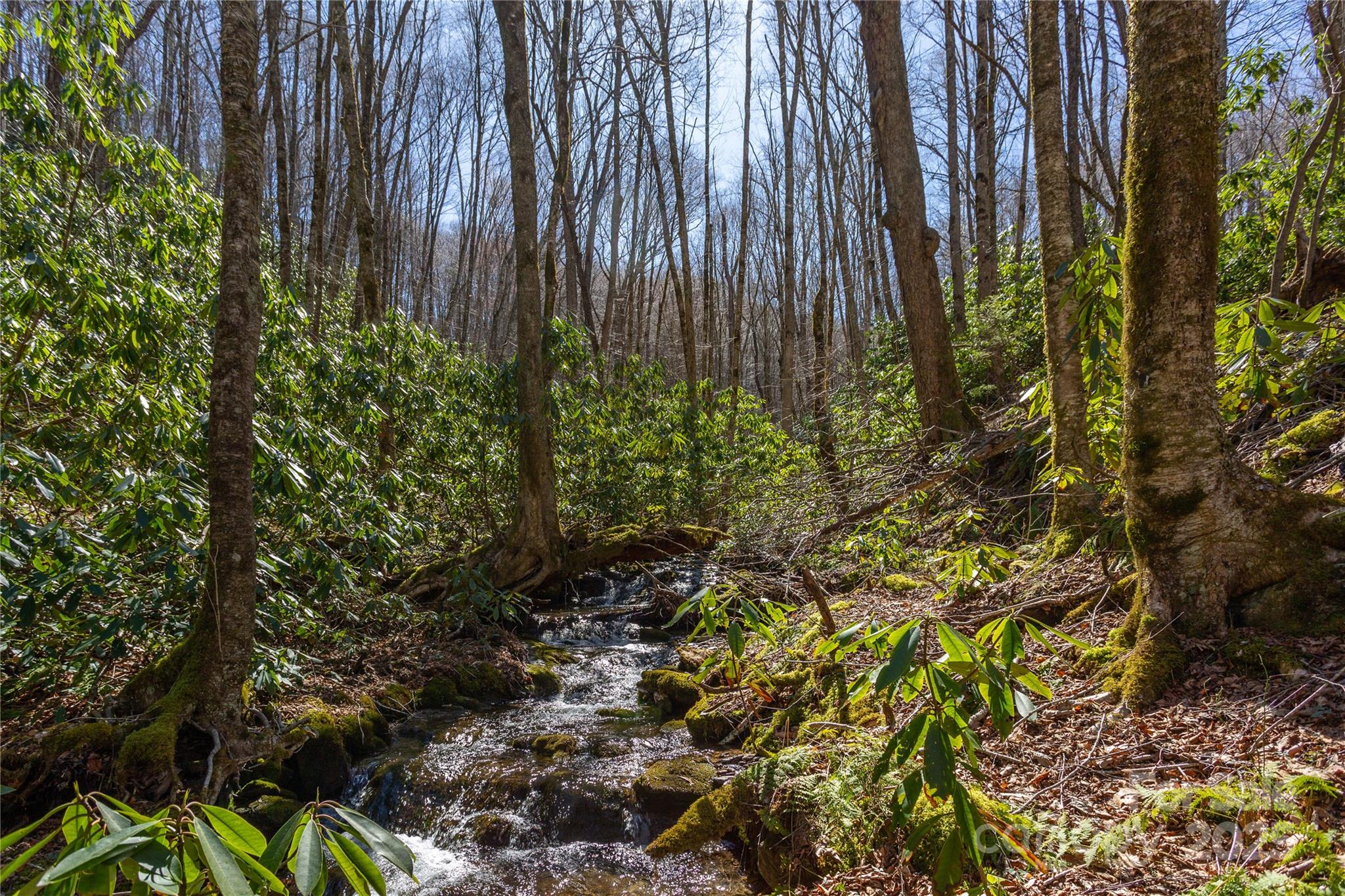 Black Rock Creek - Land
