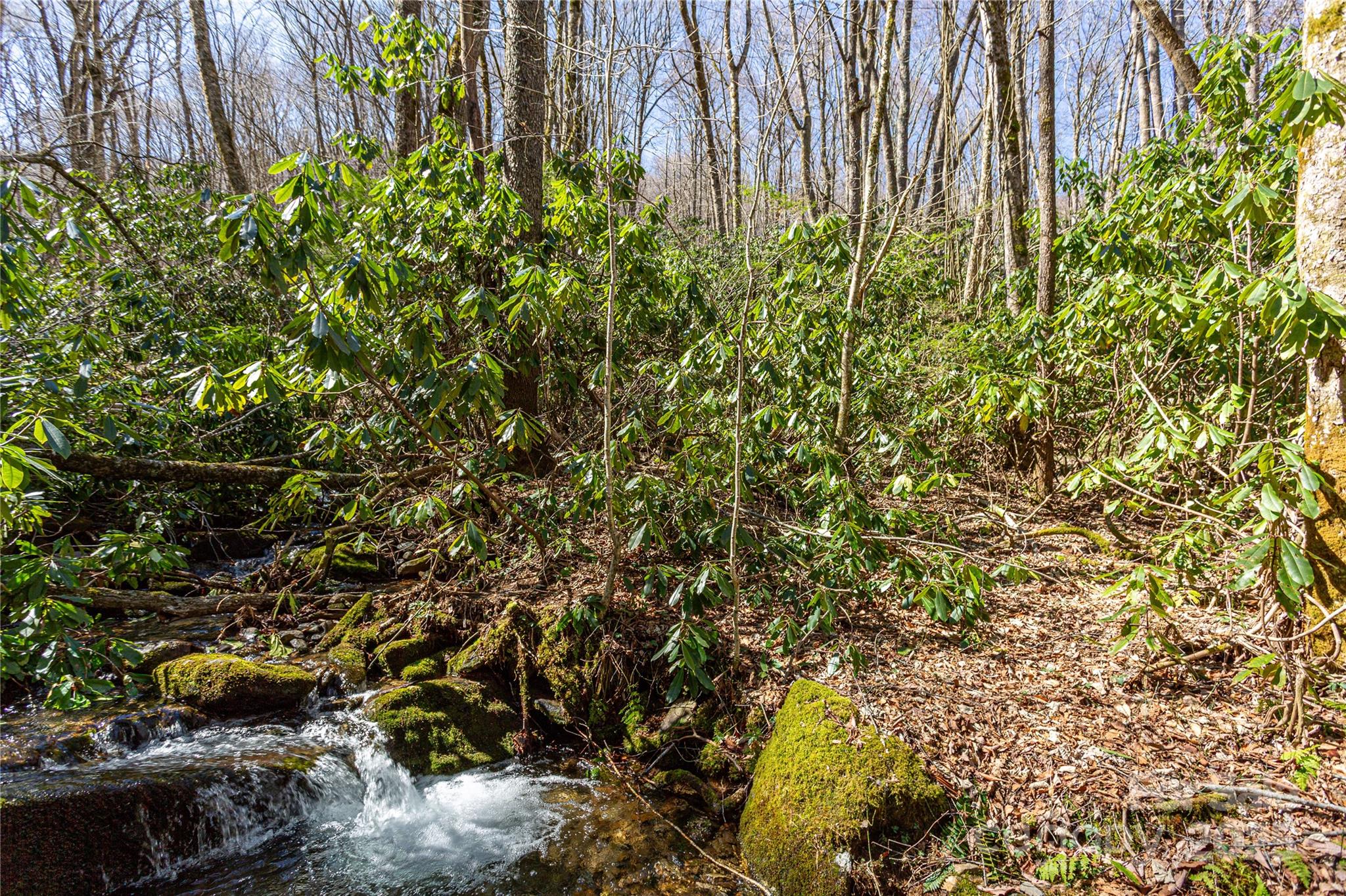 Black Rock Creek - Land