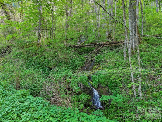 21 STAR CREST DR, WAYNESVILLE, NC 28785 - Image 6d8fb889a6bb2b6bfa8a857129df0768/1013335522