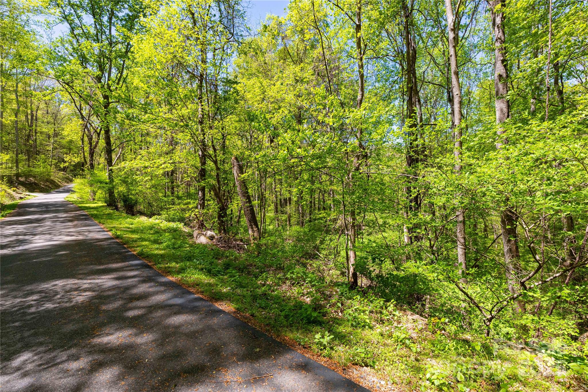 TBD Whispering Woods Path