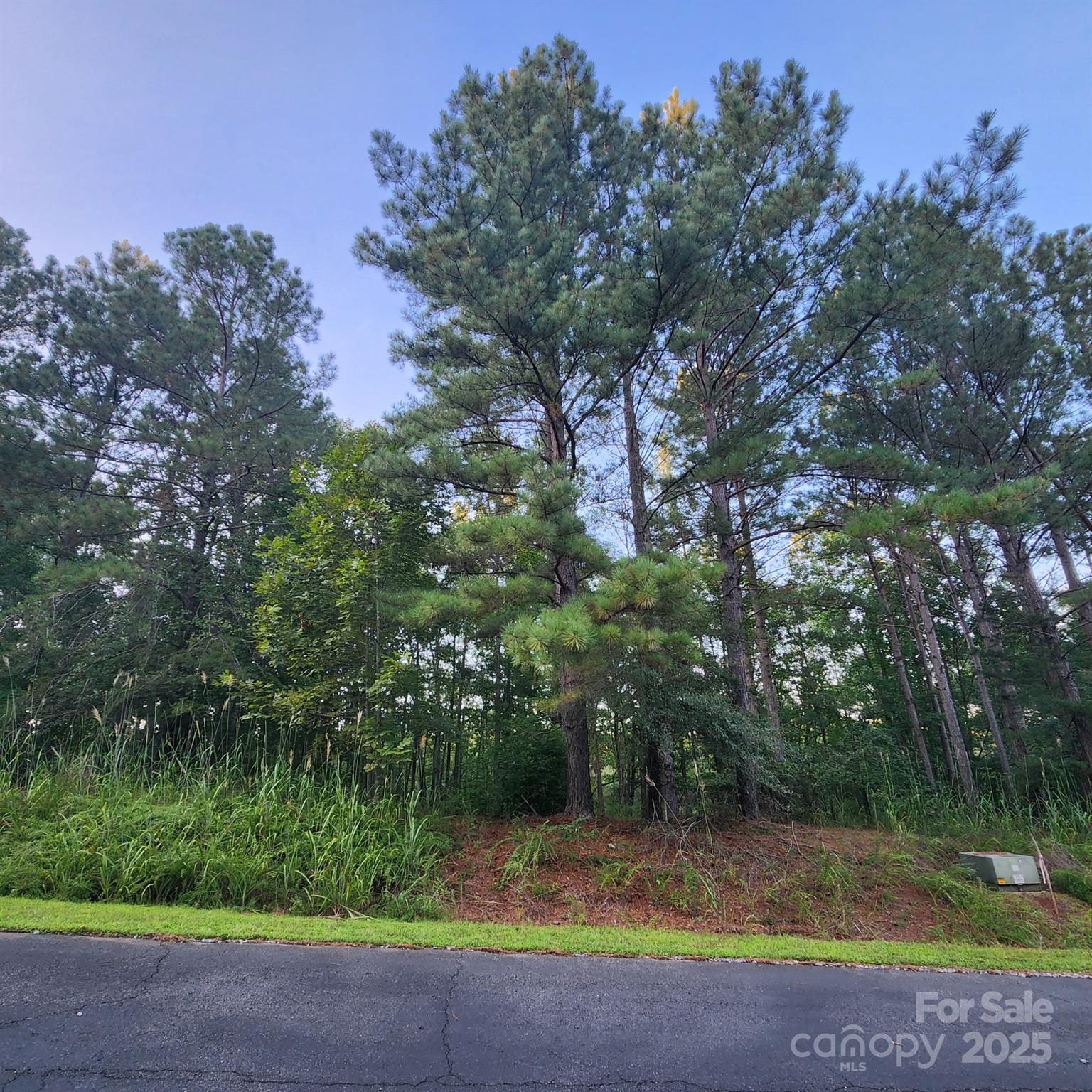 115 Scenic Ridge Drive