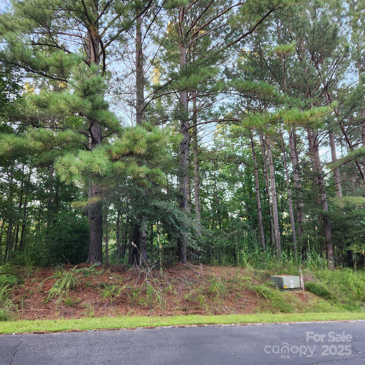 115 Scenic Ridge Drive