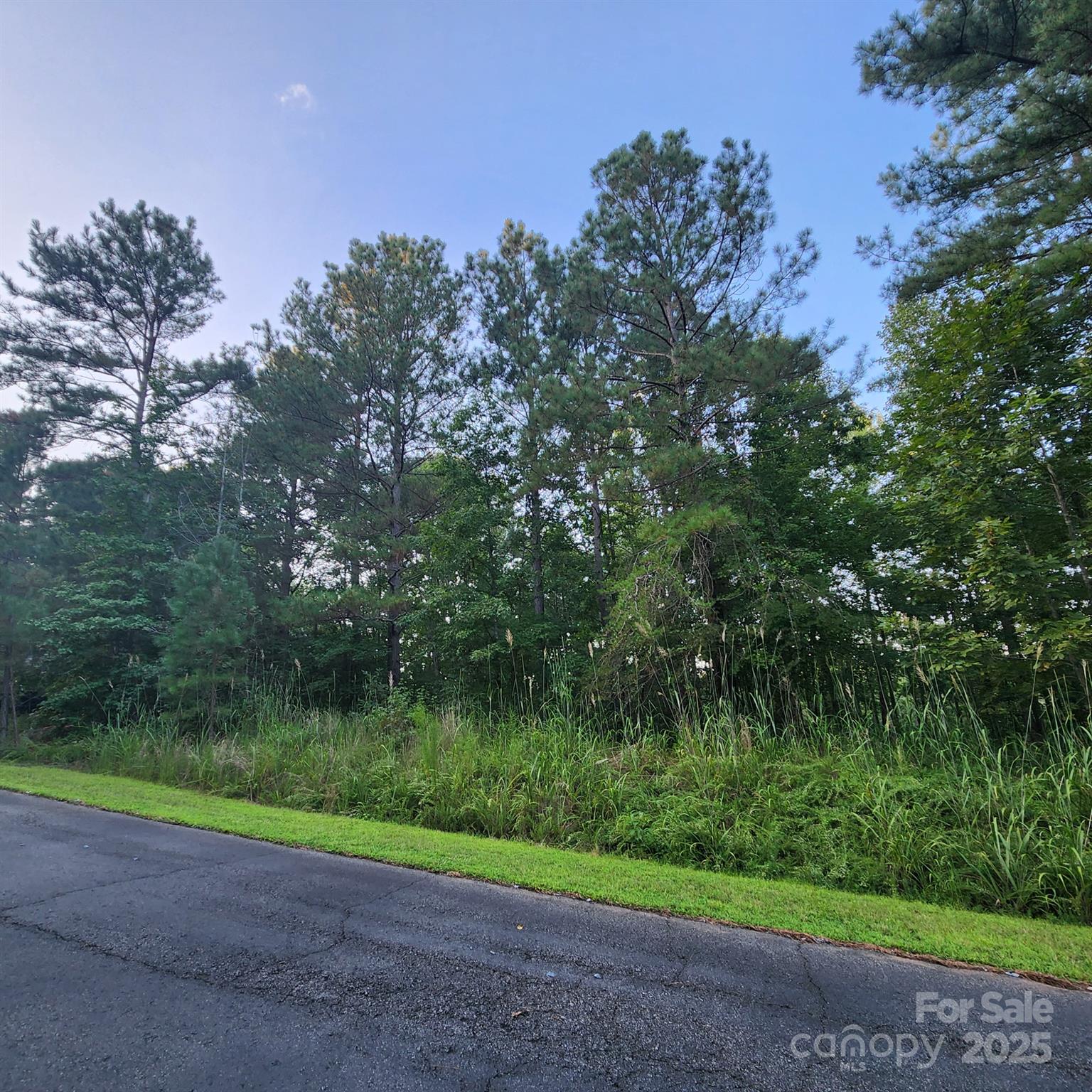 Broad River Highlands - Land