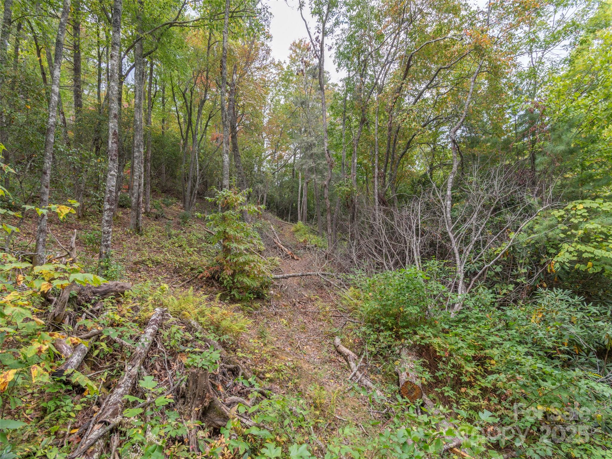 Cherry Hill Est - Land