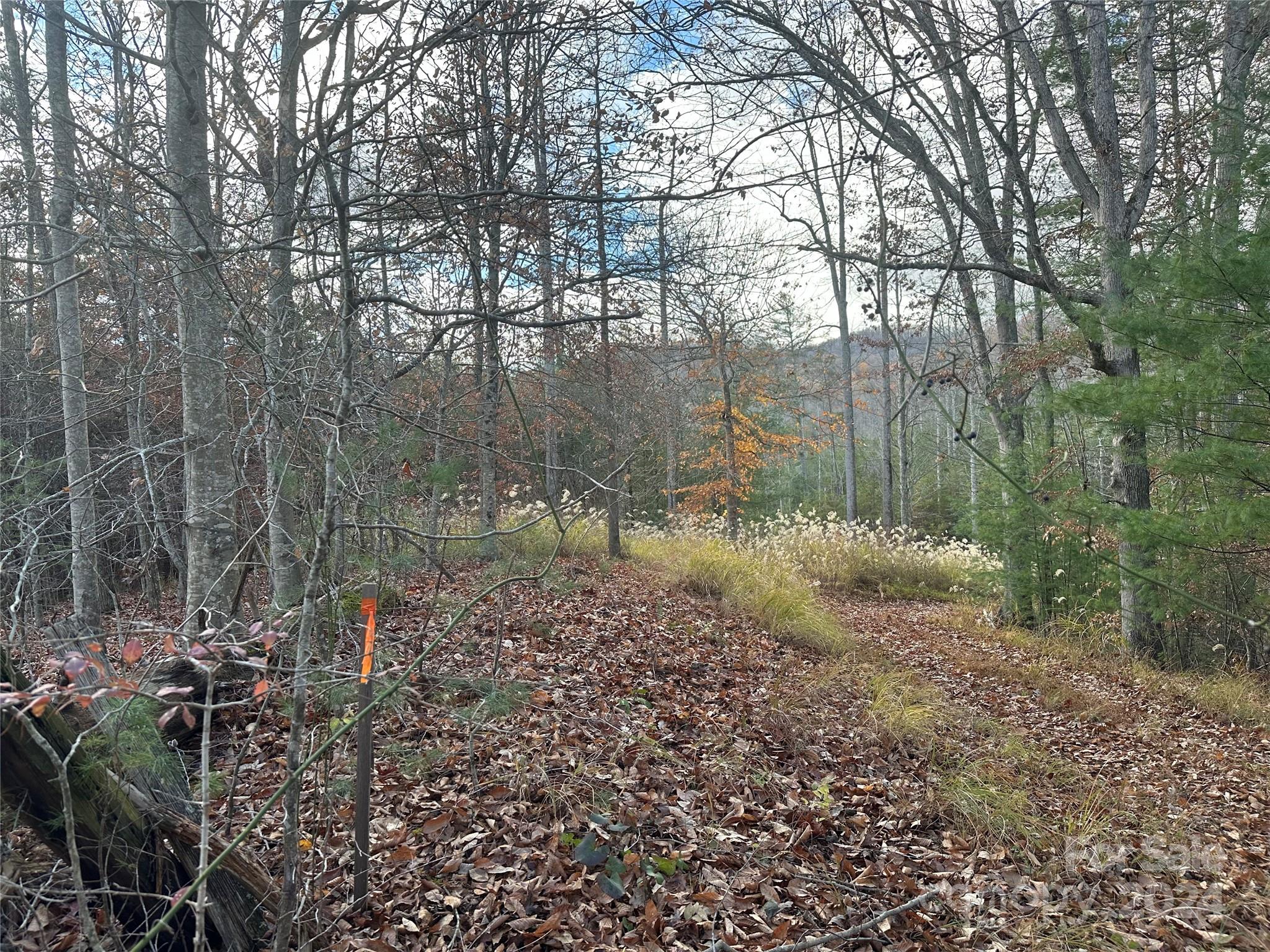 000 The Vines Boulevard 5