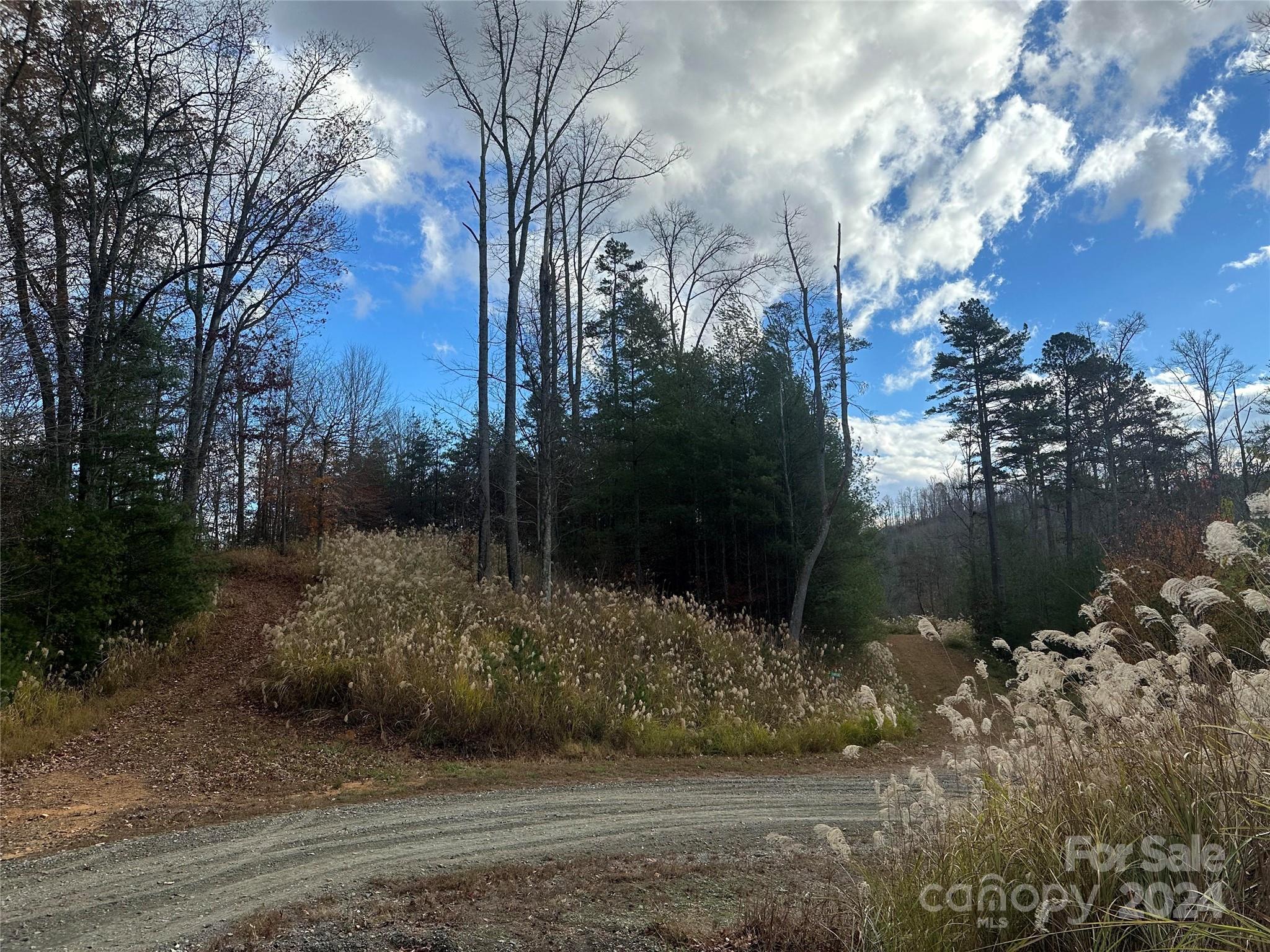 000 The Vines Boulevard 5