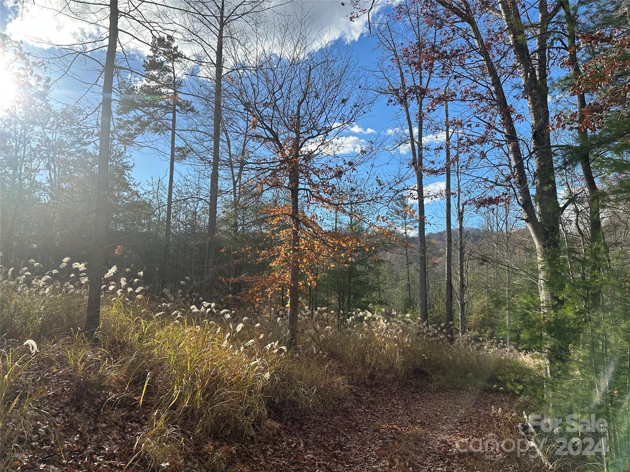 000 The Vines Boulevard 5