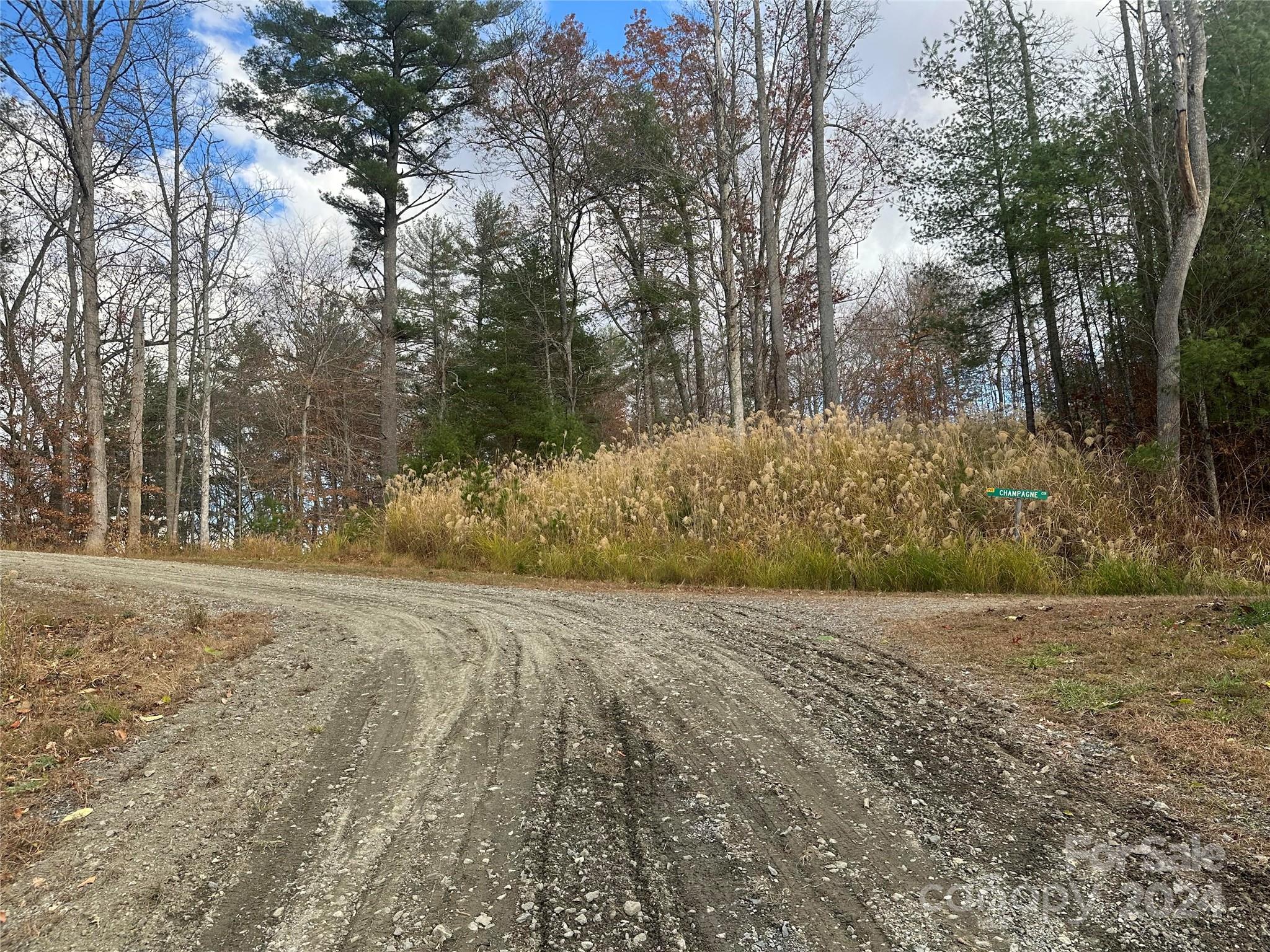 000 The Vines Boulevard 5