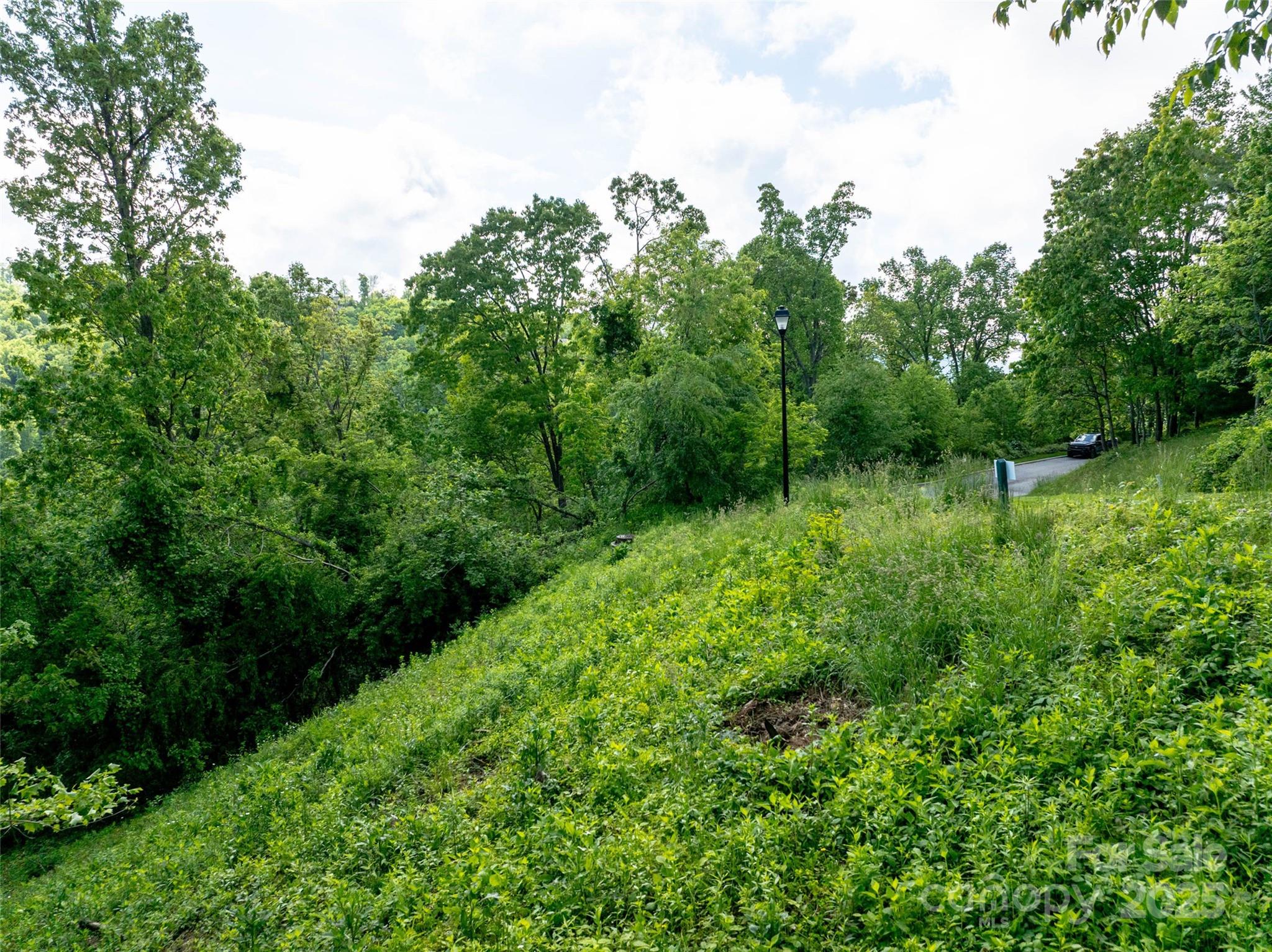 Reynolds Mountain - Land