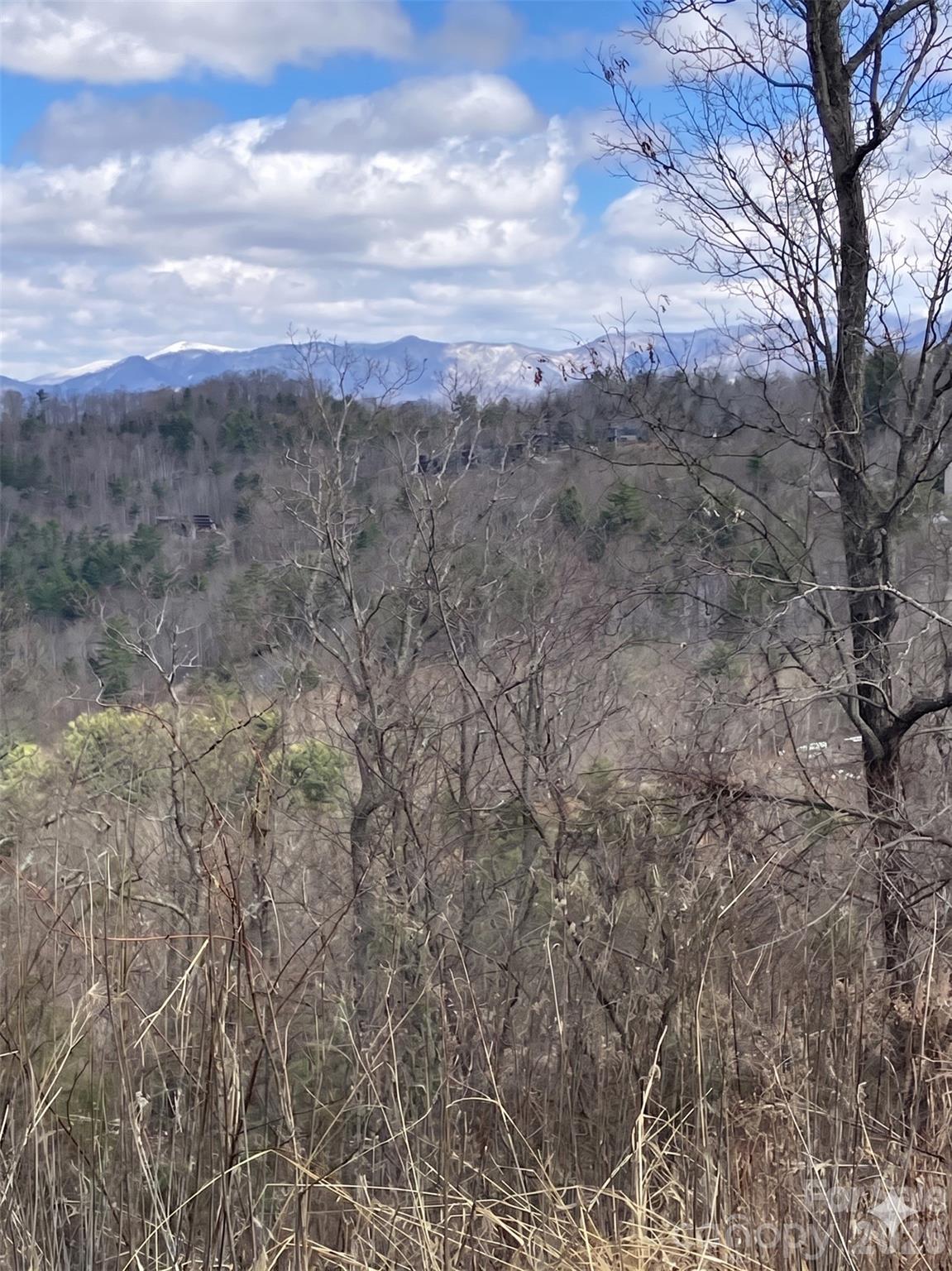 Reynolds Mountain - Land