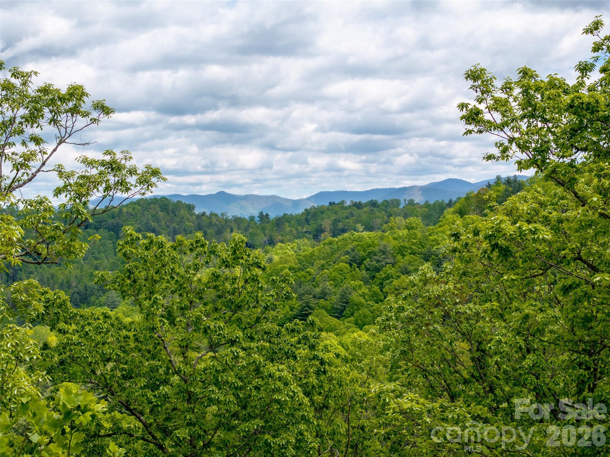 Reynolds Mountain - Land