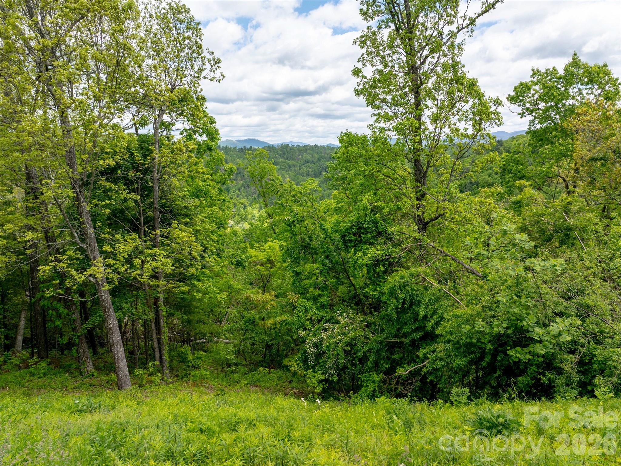 Reynolds Mountain - Land