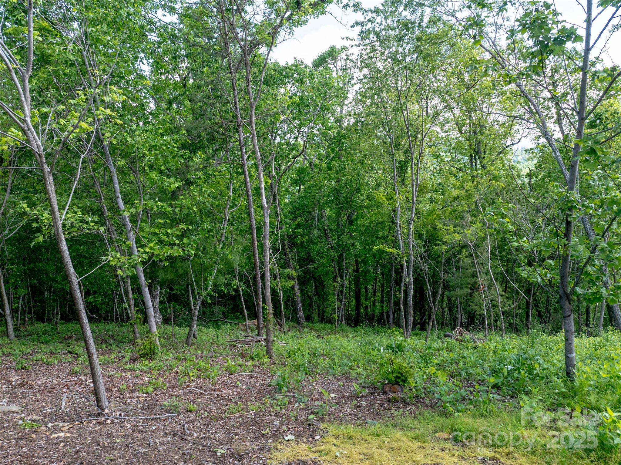 Reynolds Mountain - Land