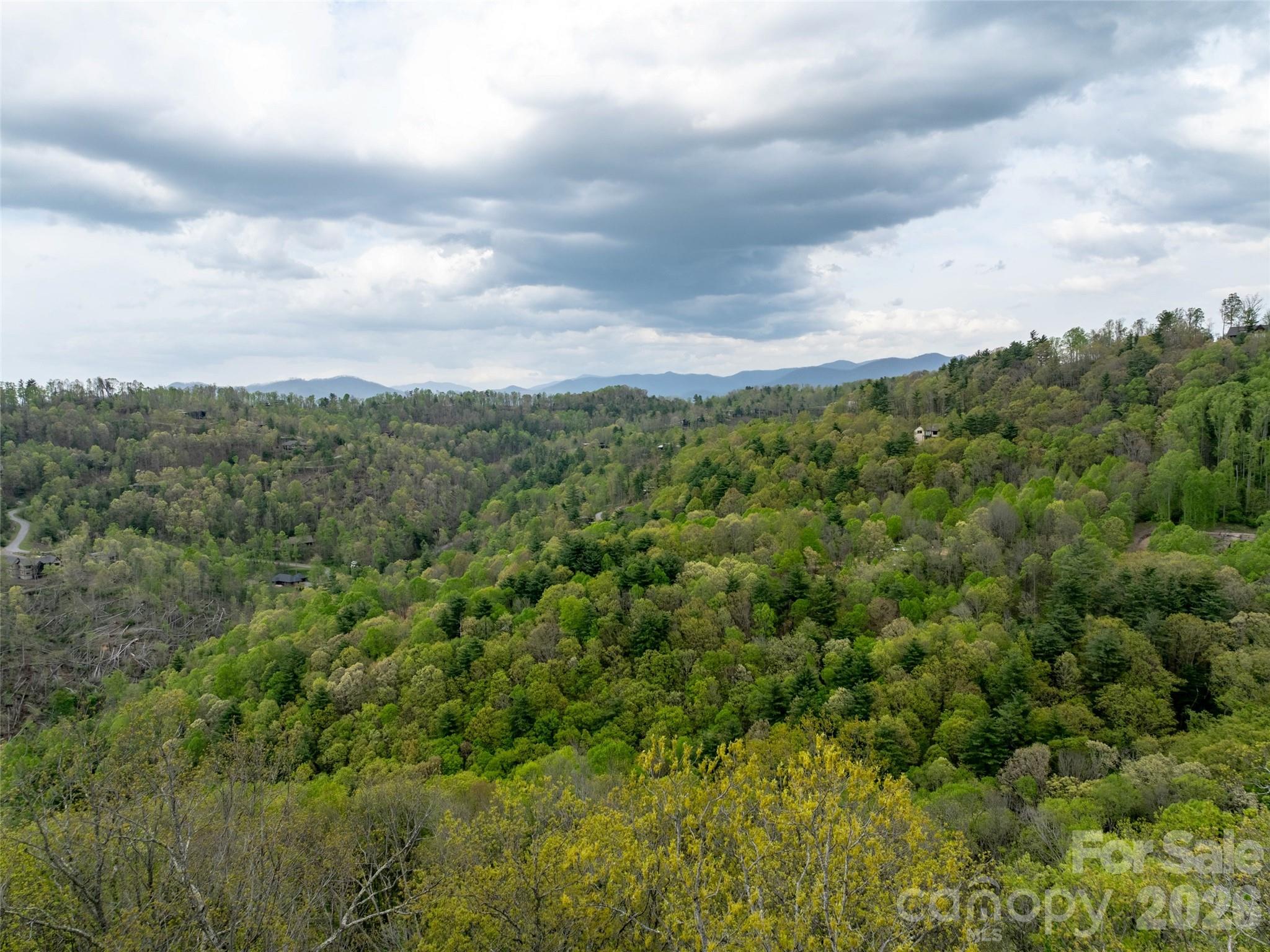 Reynolds Mountain - Land