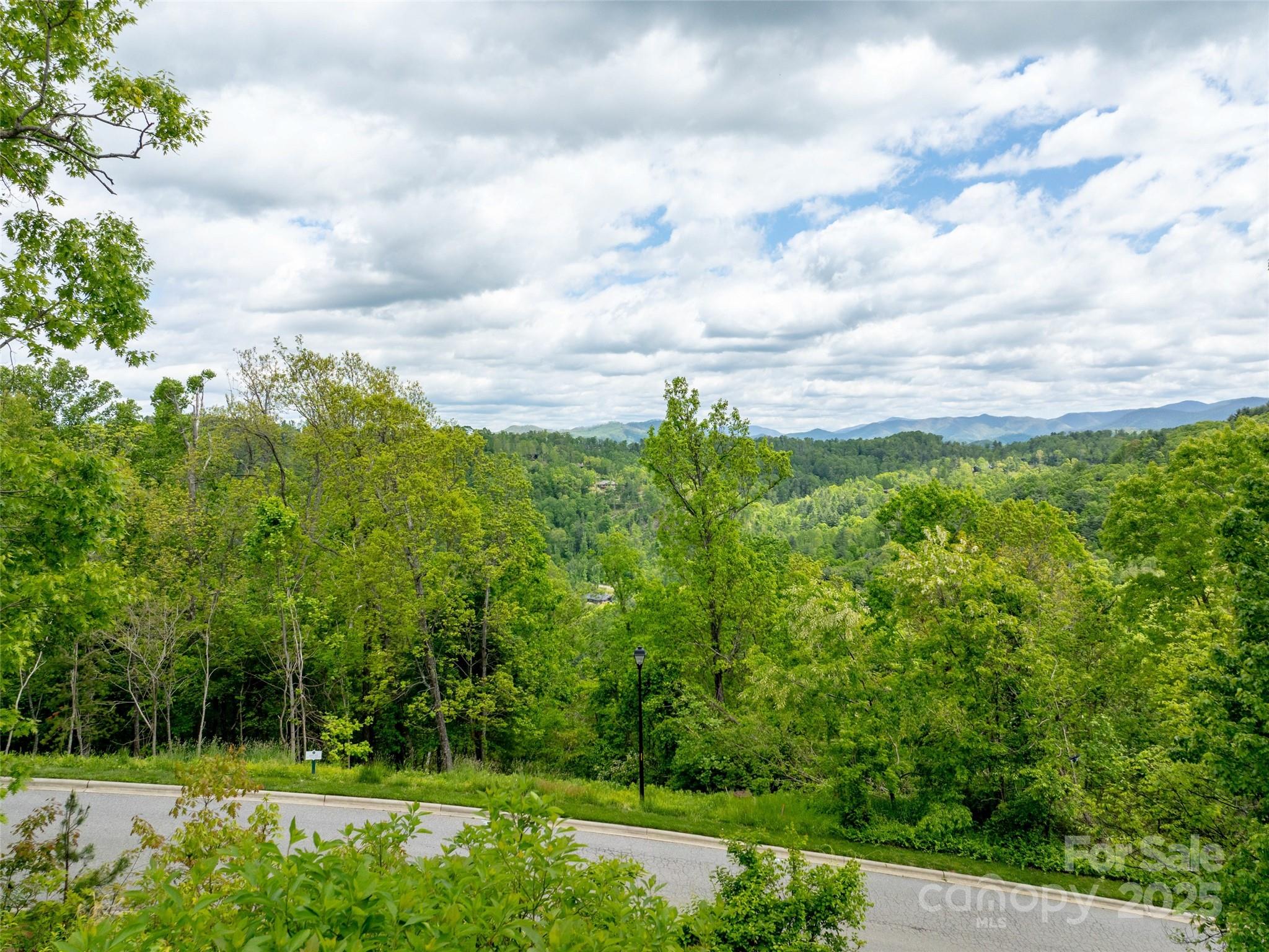 Reynolds Mountain - Land