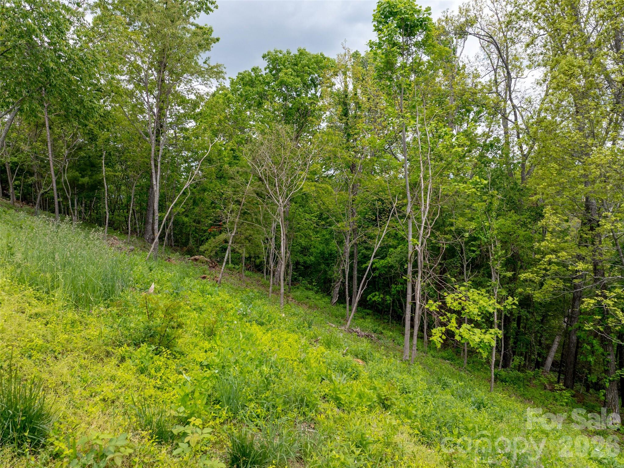 Reynolds Mountain - Land