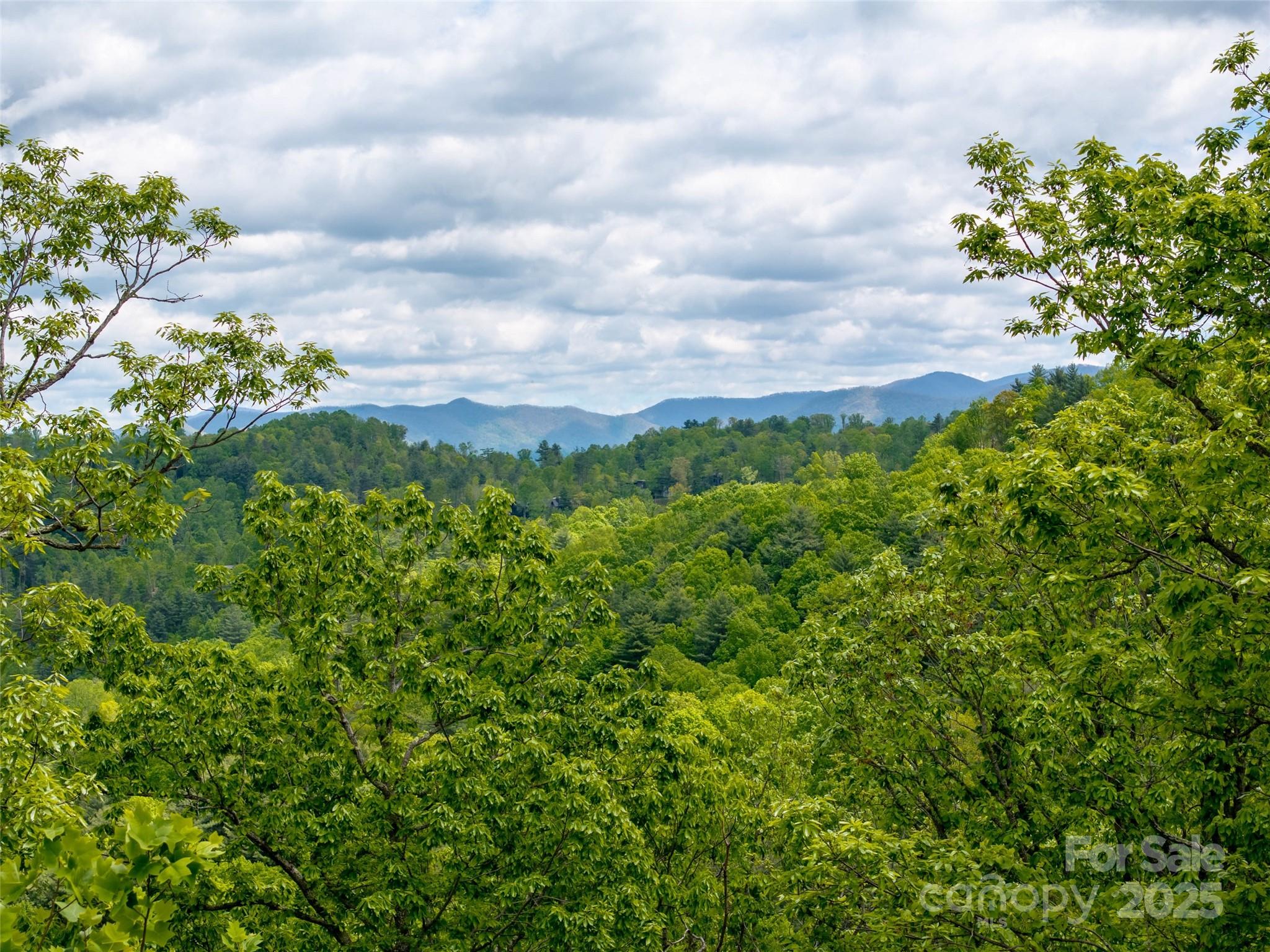 Reynolds Mountain - Land