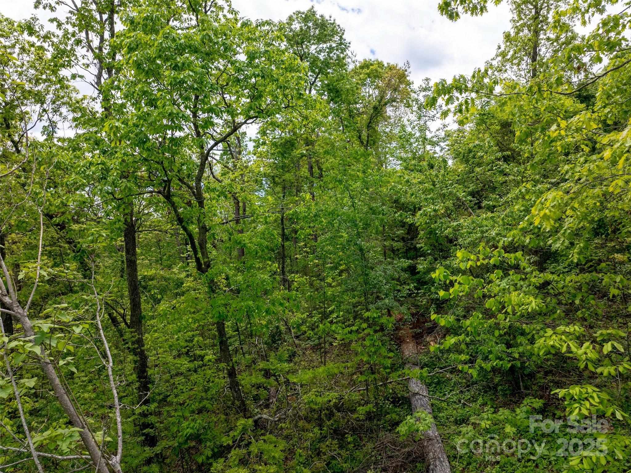 Reynolds Mountain - Land