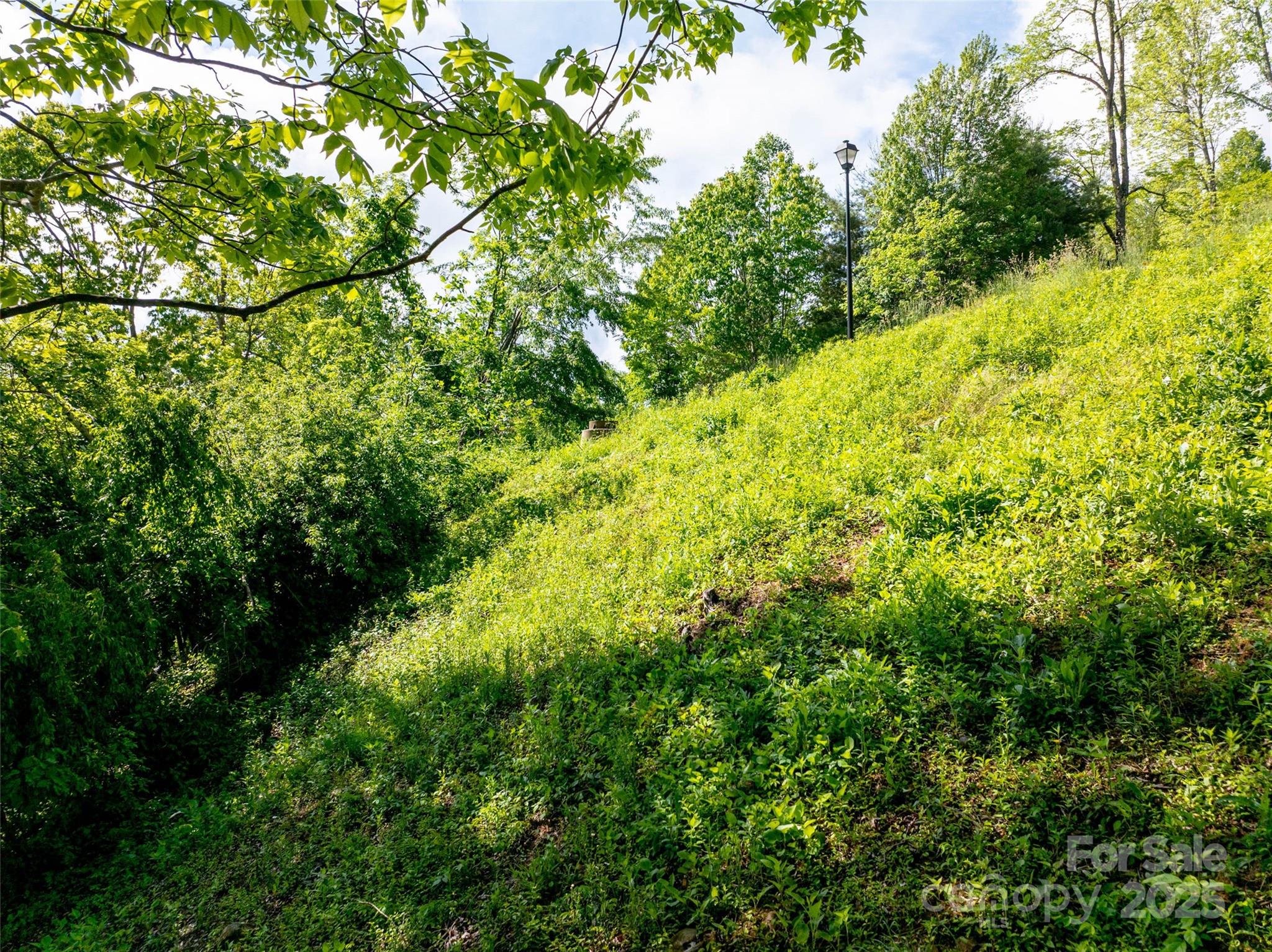 Reynolds Mountain - Land