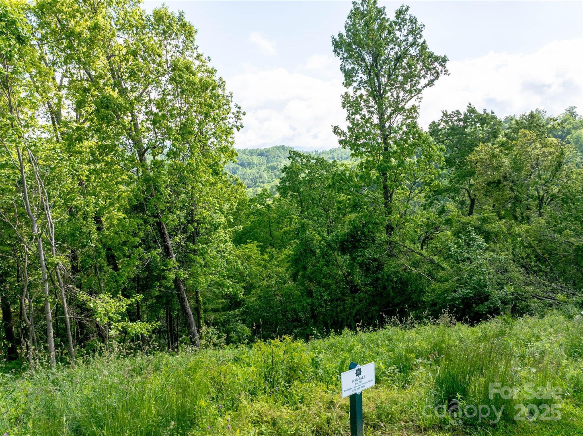 Reynolds Mountain - Land