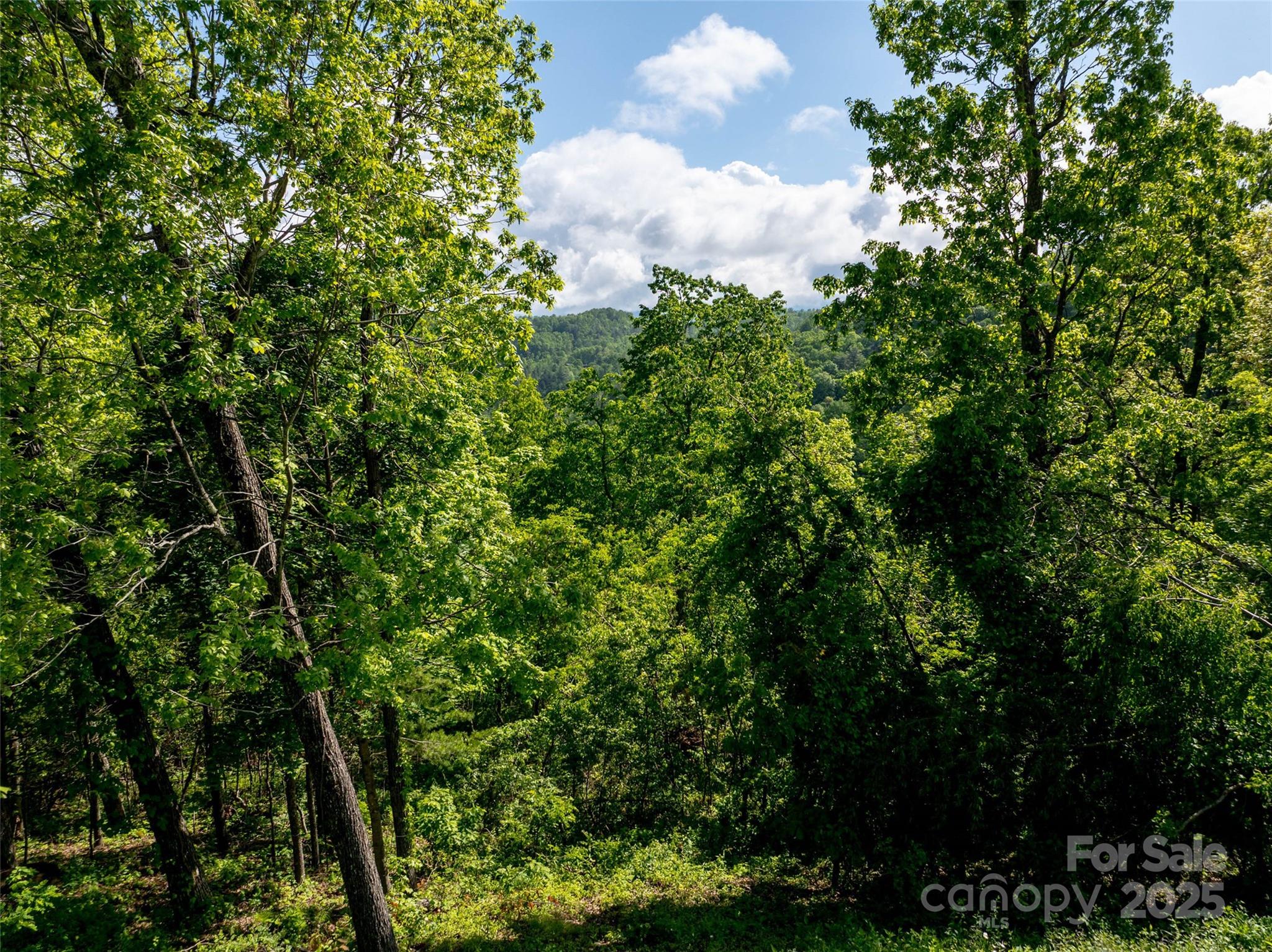 Reynolds Mountain - Land