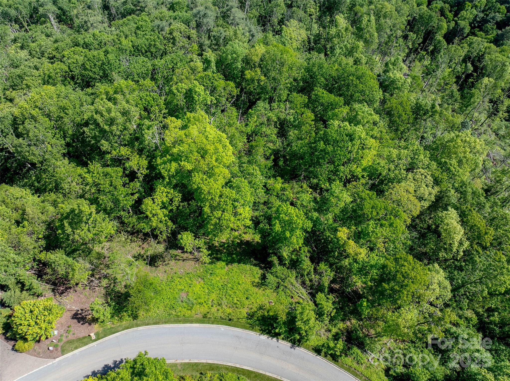 Reynolds Mountain - Land