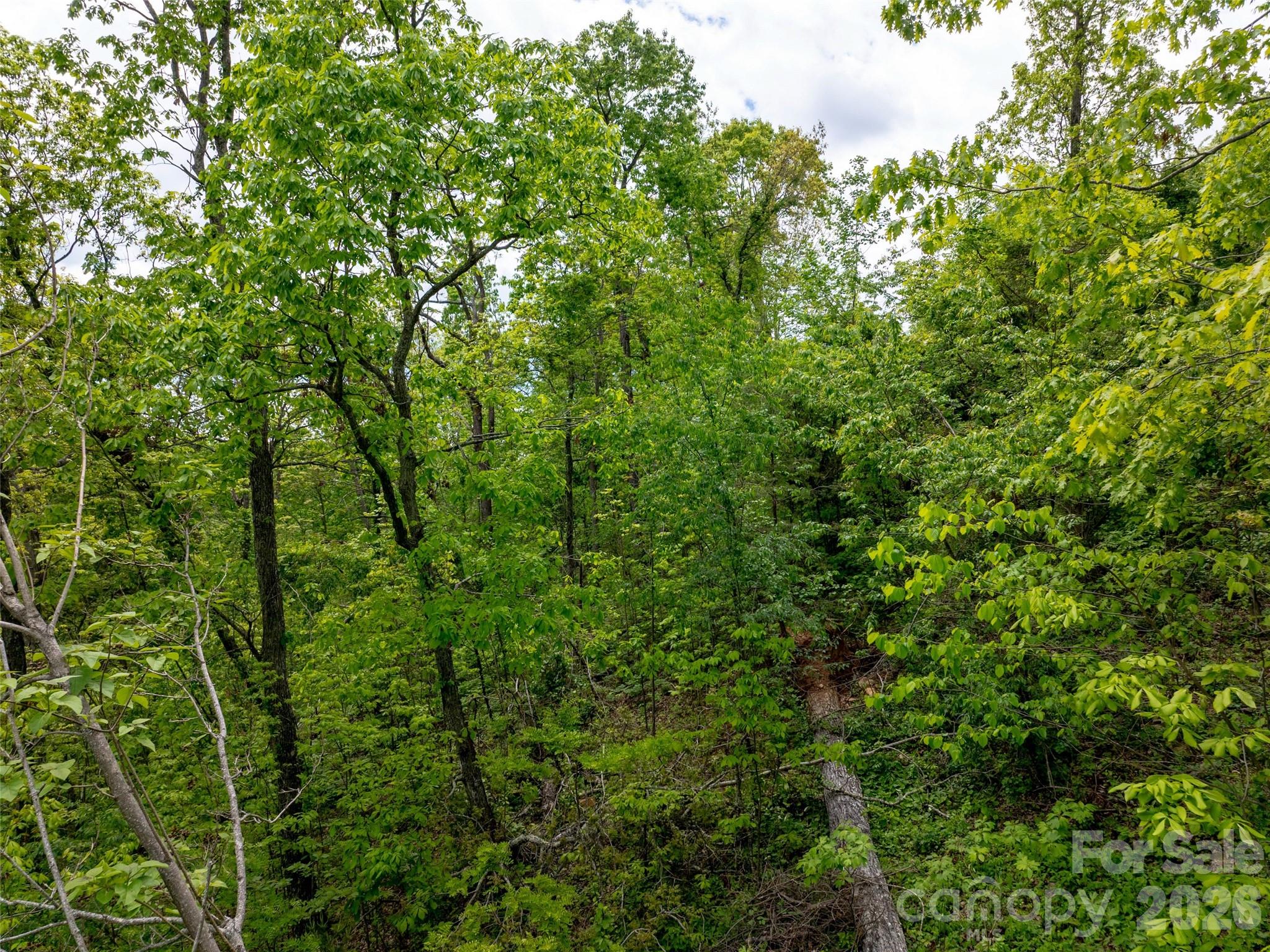 Reynolds Mountain - Land