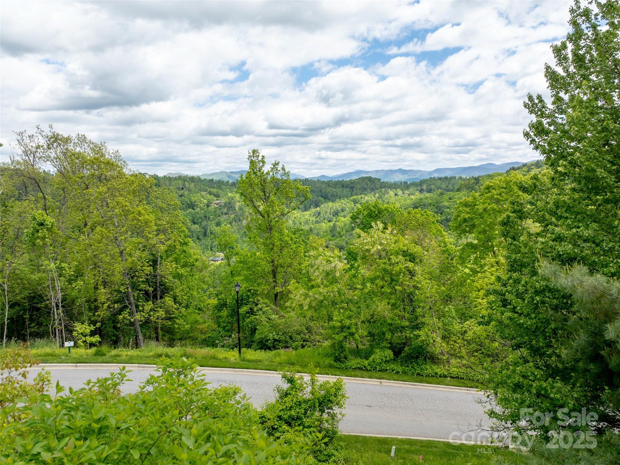 Reynolds Mountain - Land