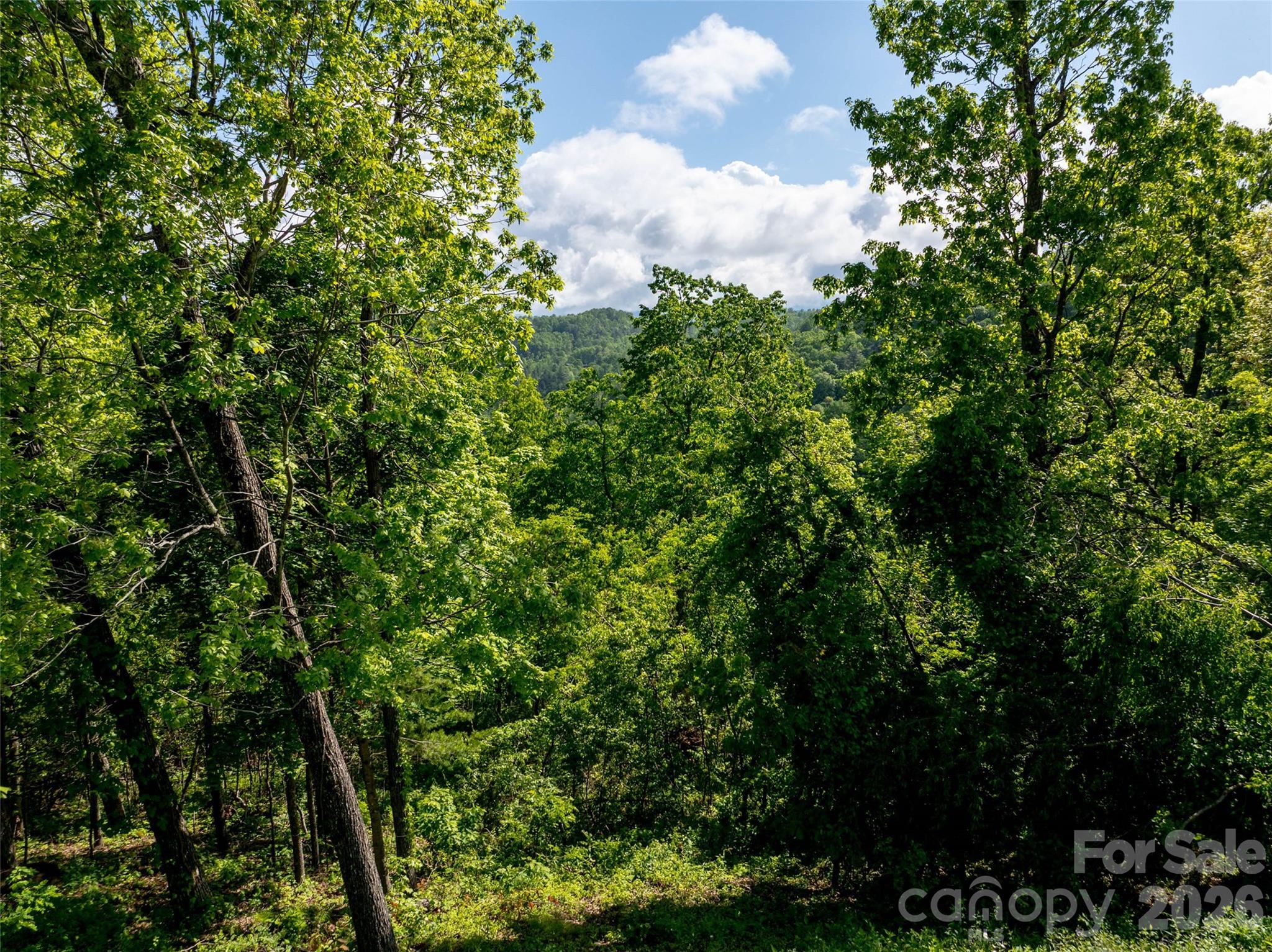 Reynolds Mountain - Land