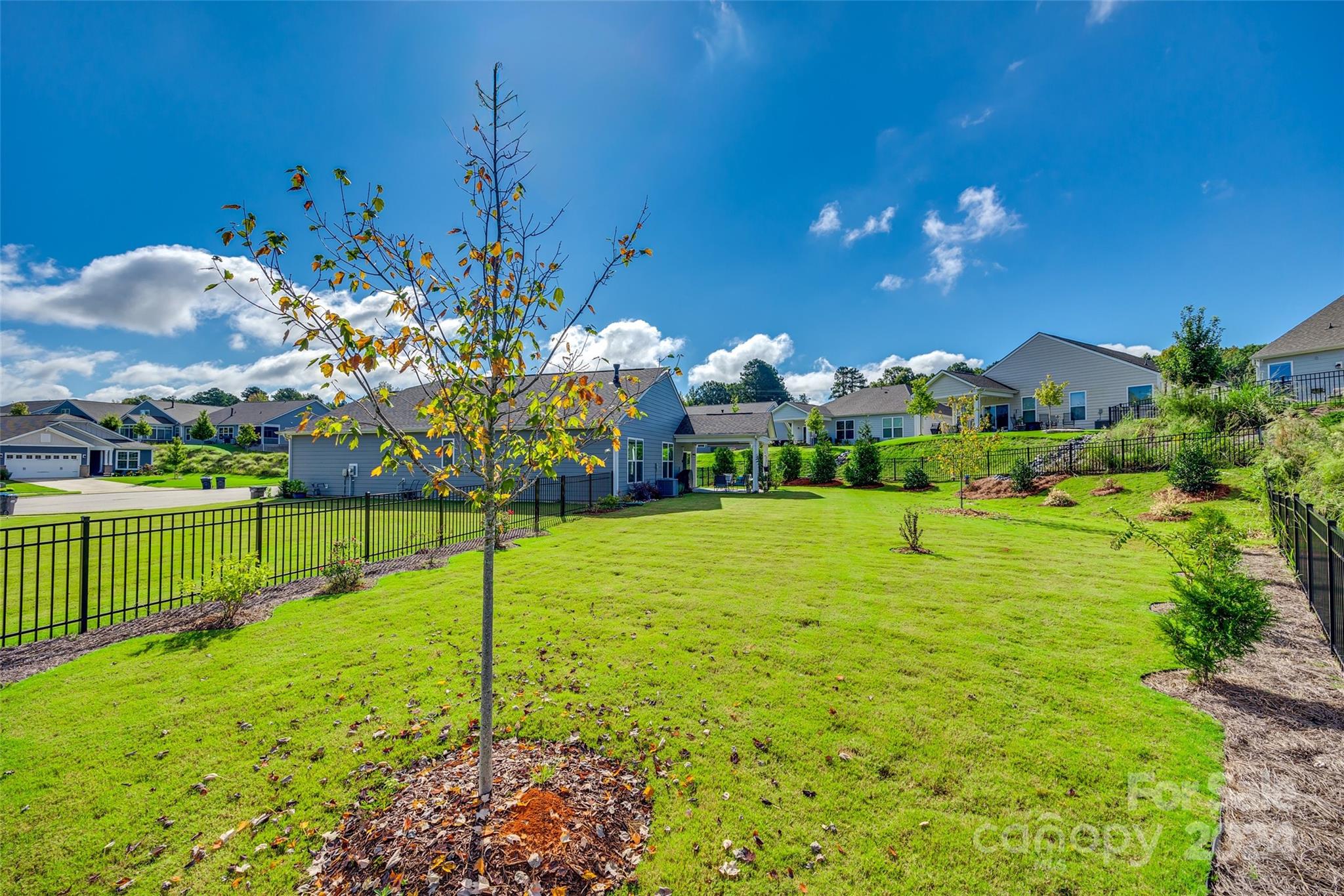 Walnut Creek - Residential