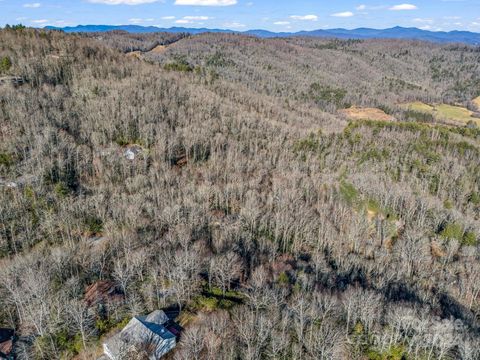 A home in Pisgah Forest