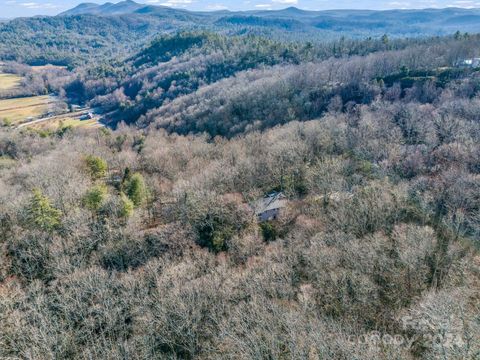 A home in Pisgah Forest