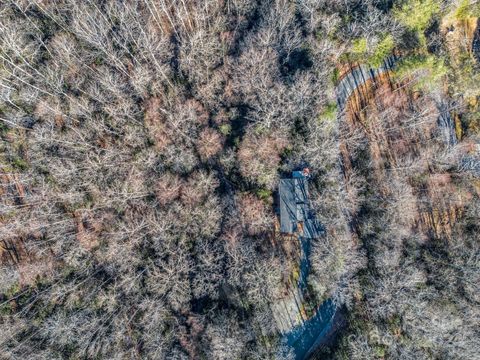 A home in Pisgah Forest