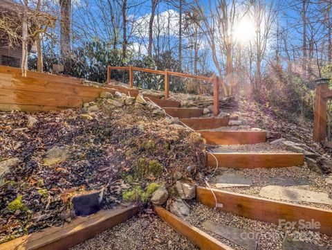 A home in Pisgah Forest