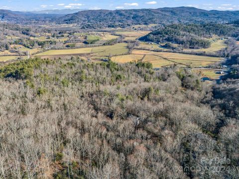 A home in Pisgah Forest