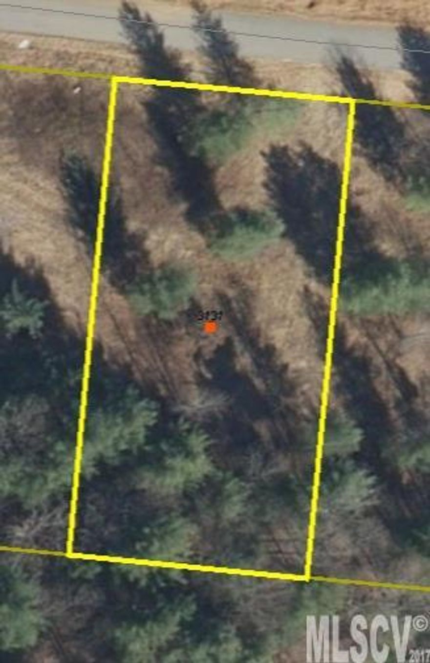 Land Lot suitable for Doublewide and Modular Homes. Public water available at the street. Underground Electric available at street. Soil Evaluation Test will need to be done for a Septic tank. Owner Financing Available.