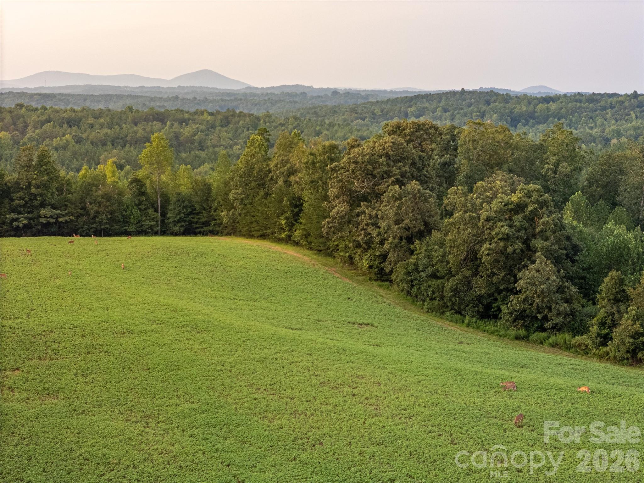 4013 NC Hwy 18 Highway