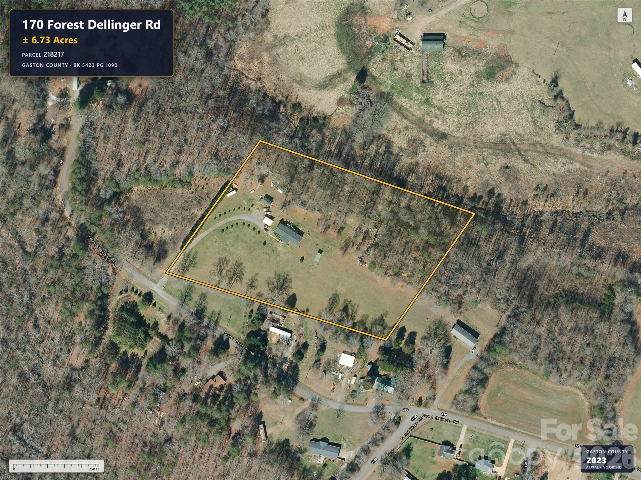 170 Forest Dellinger Road