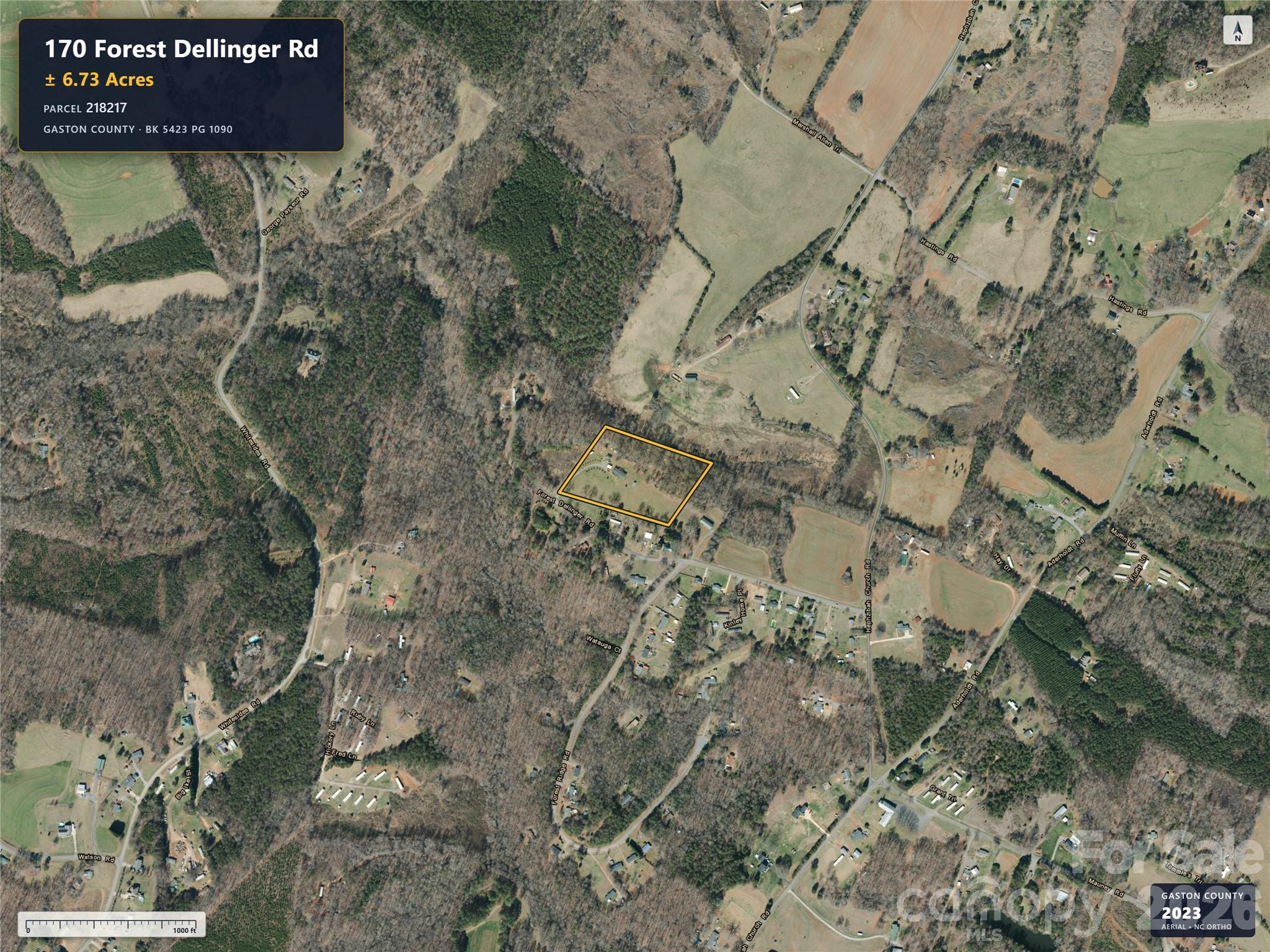 170 Forest Dellinger Road