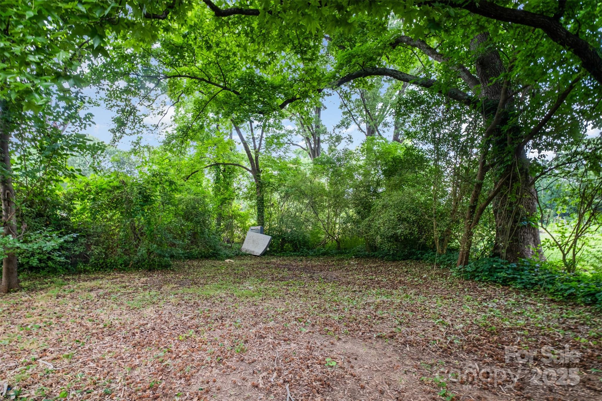 Thomasboro - Residential