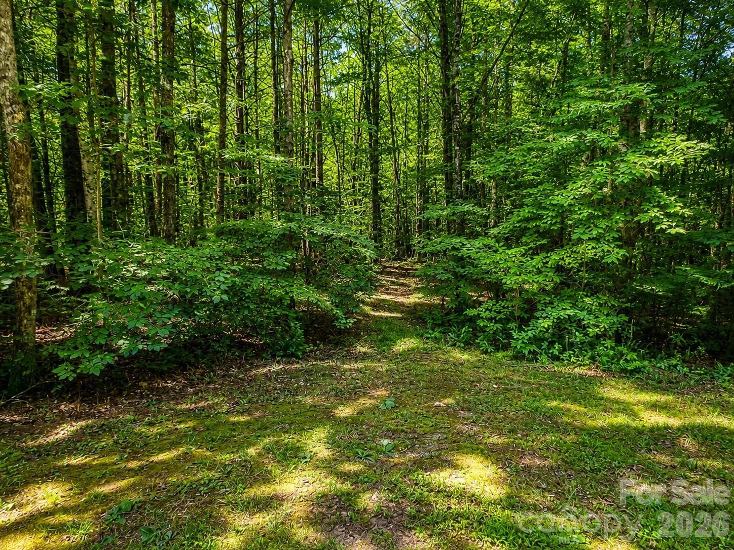 49 Trillium Trail