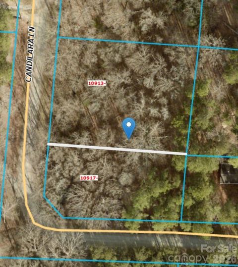 Photo of 10913 Candilara Lane, Midland, NC 28107 (MLS # 4401565)