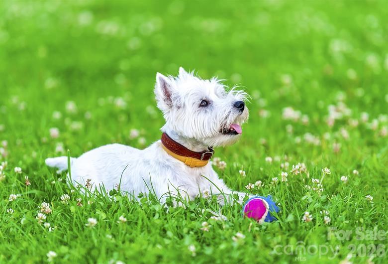 Bozardt Farms - Residential