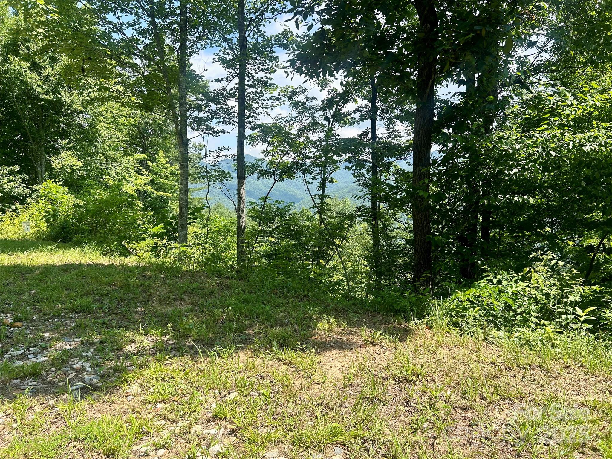 0 Hickory Rock Road 11