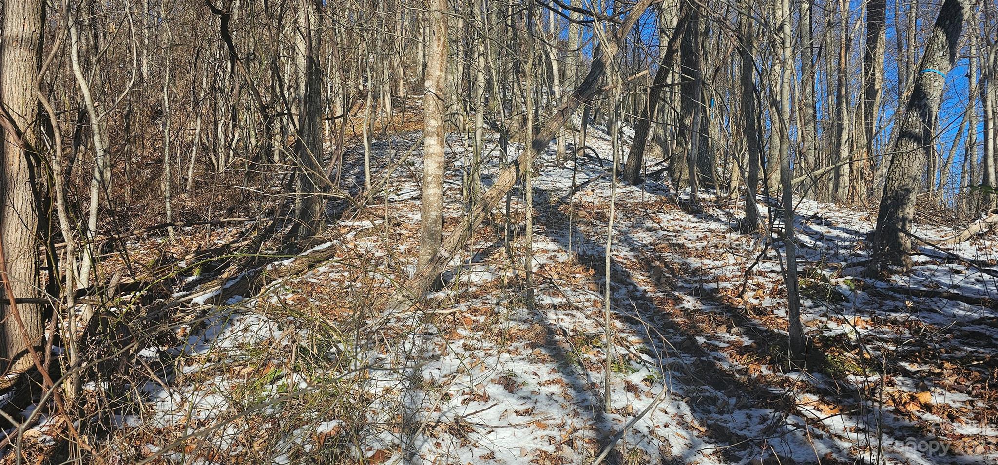 Maggie Valley Country Club Est - Land