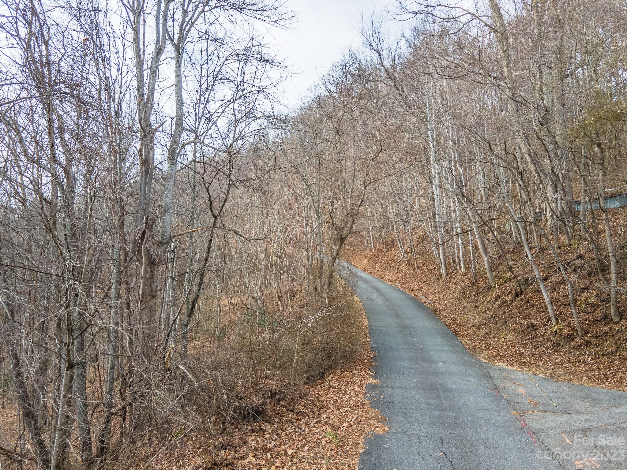 Maggie Valley Country Club Est - Land