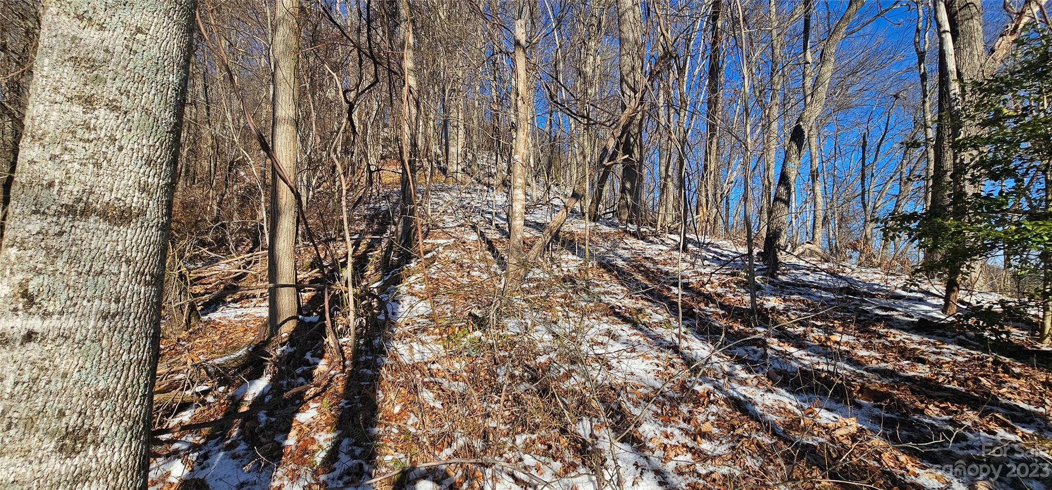 Maggie Valley Country Club Est - Land
