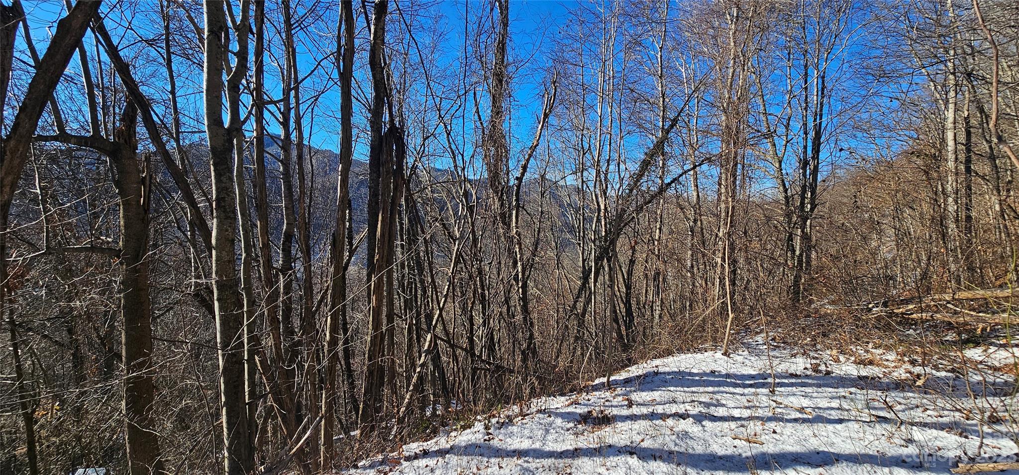 Maggie Valley Country Club Est - Land